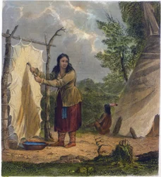 Büffelhaut, 1853